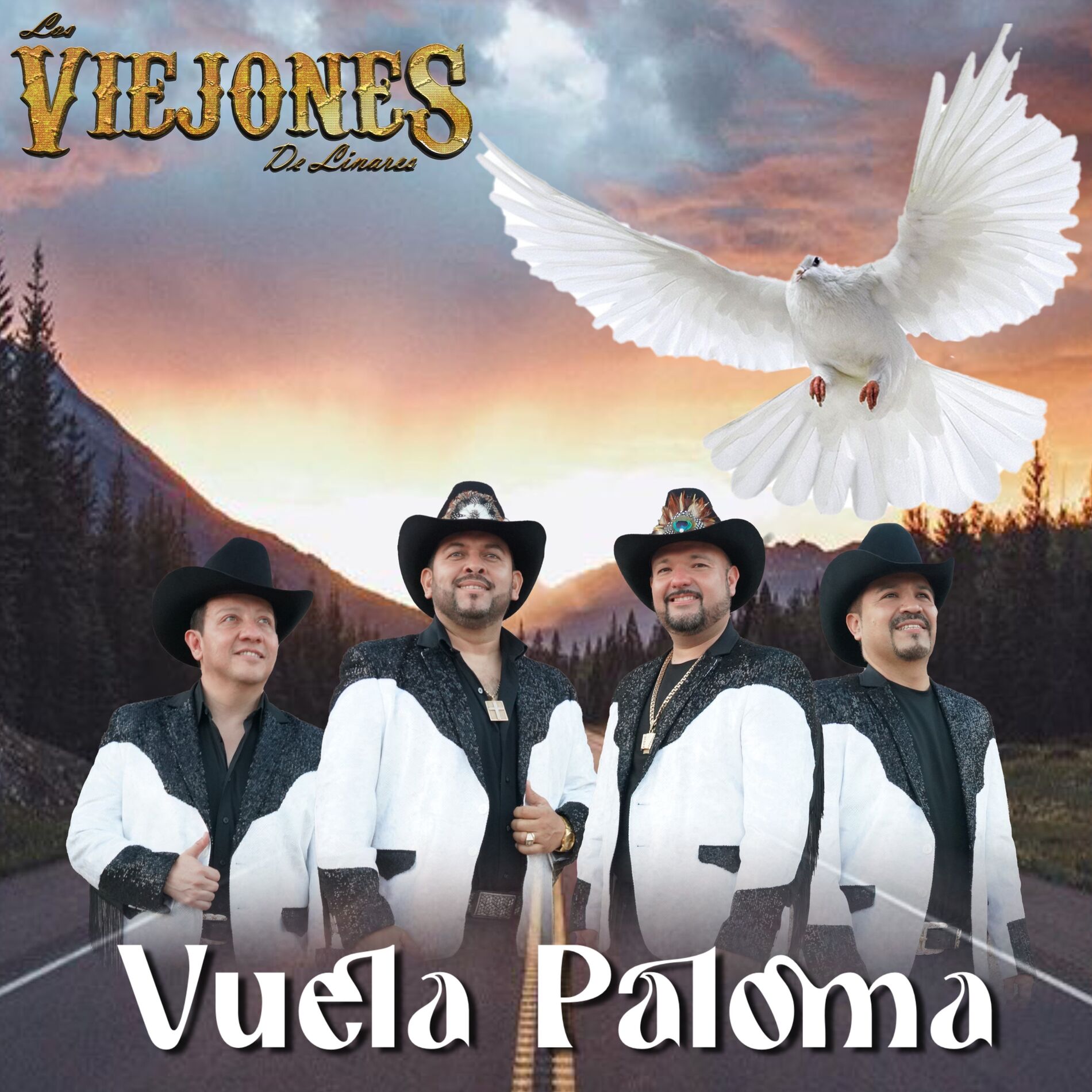 Album cover of Vuela Paloma