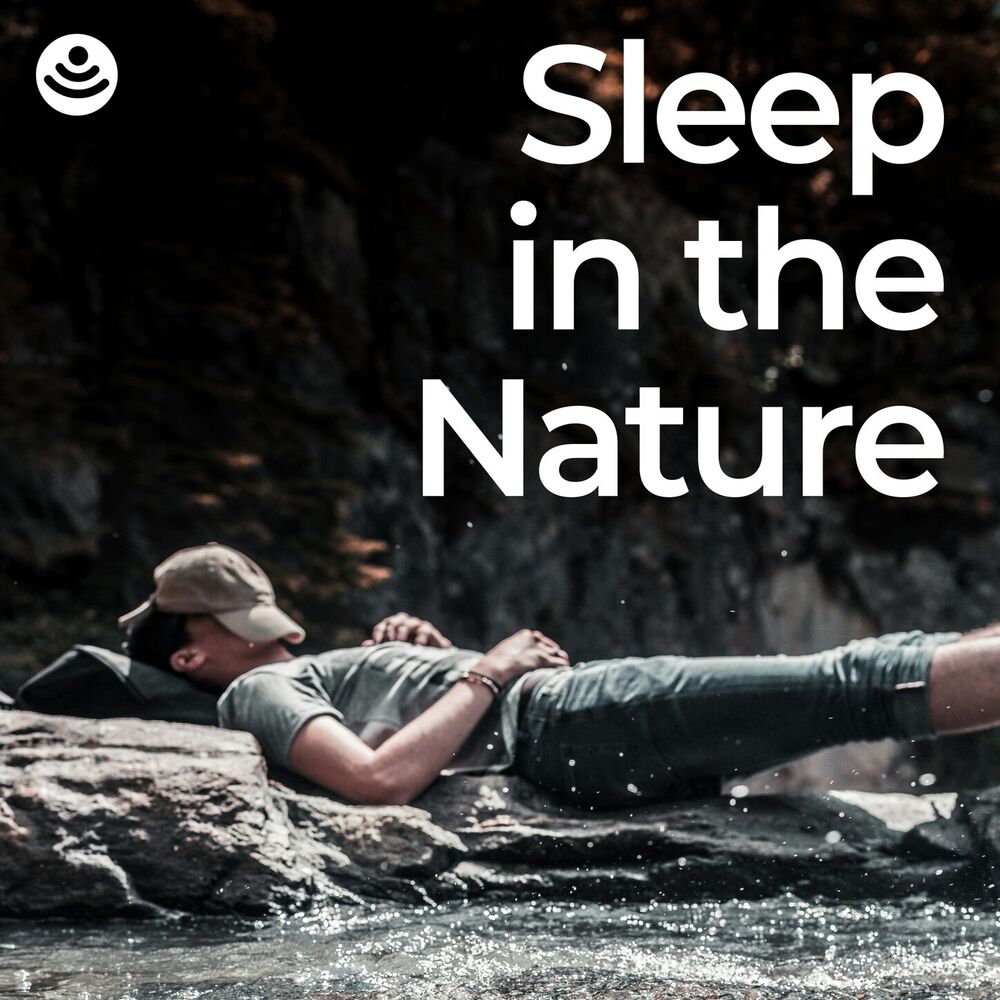 Picture of Sleep in the Nature