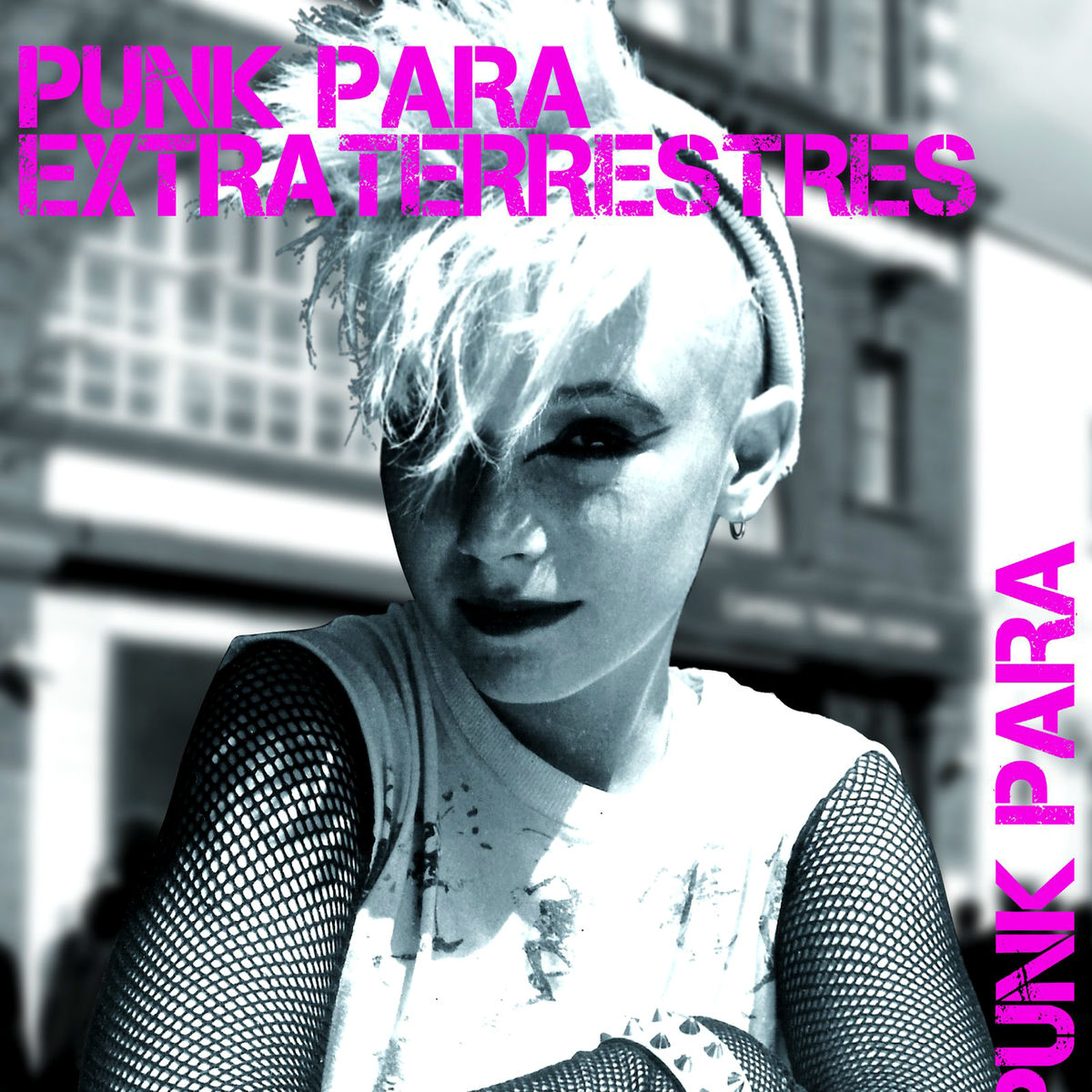 Album cover of Punk para Extraterrestres