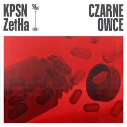 Cover of CZARNE OWCE