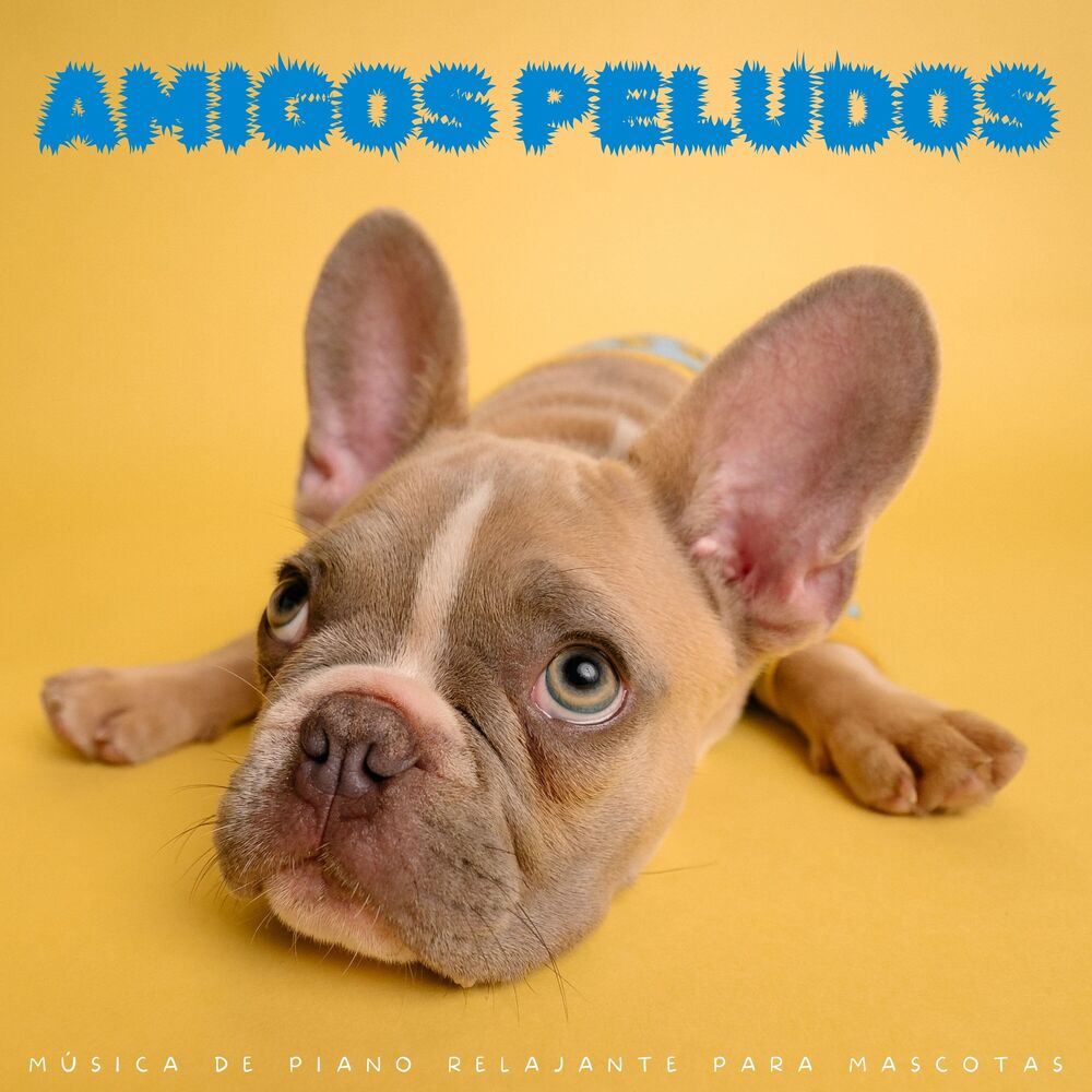 Picture of Amigos Peludos: Música De Piano Relajante Para Mascotas