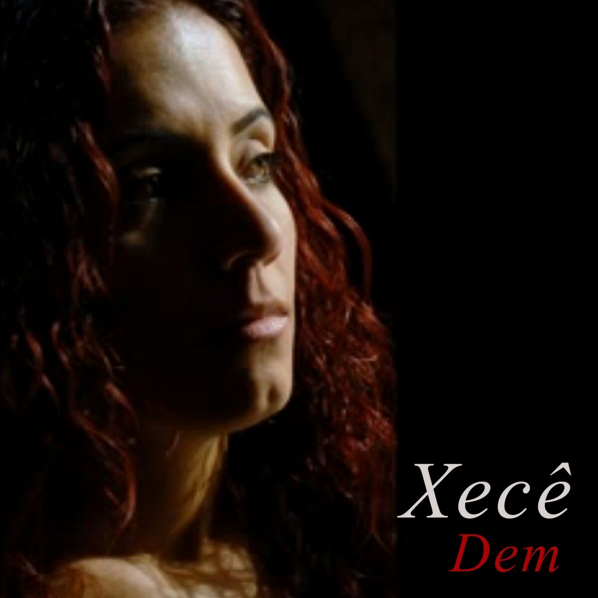 Album cover of Xezal