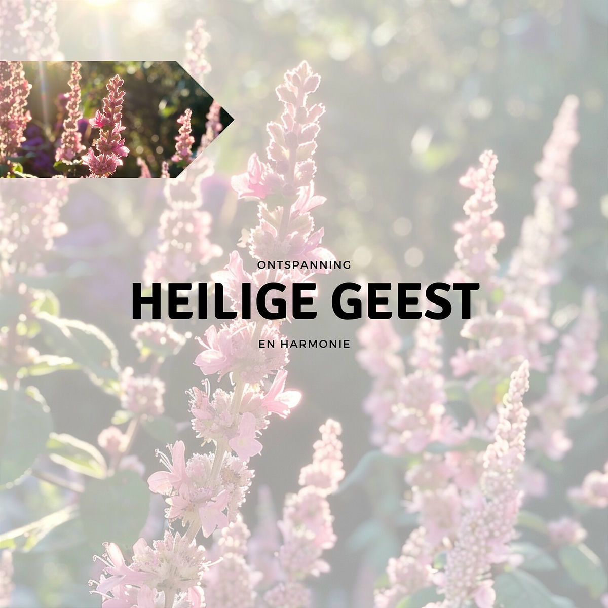 Album cover of Heilige Geest