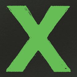 Cover of x (10th Anniversary Edition)