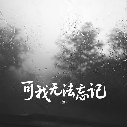 可我无法忘记