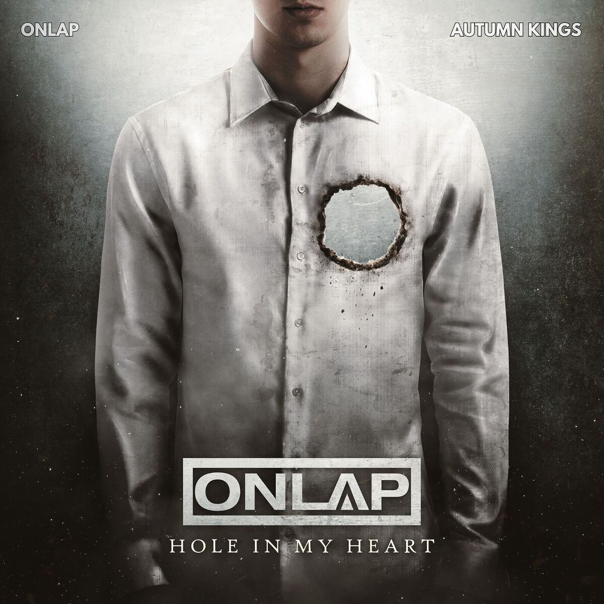 Album cover of Hole in My Heart
