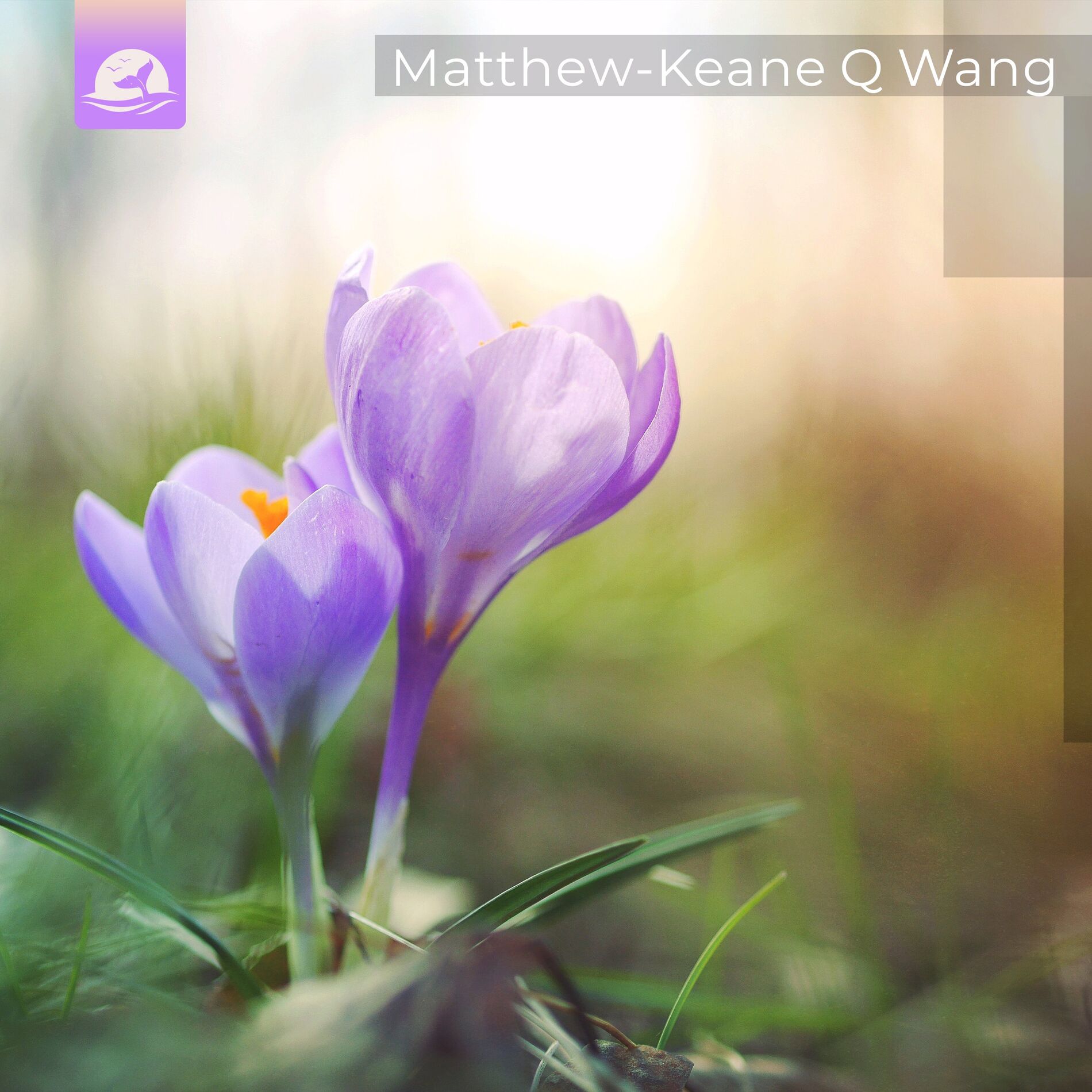 Album cover of Gentle Promises