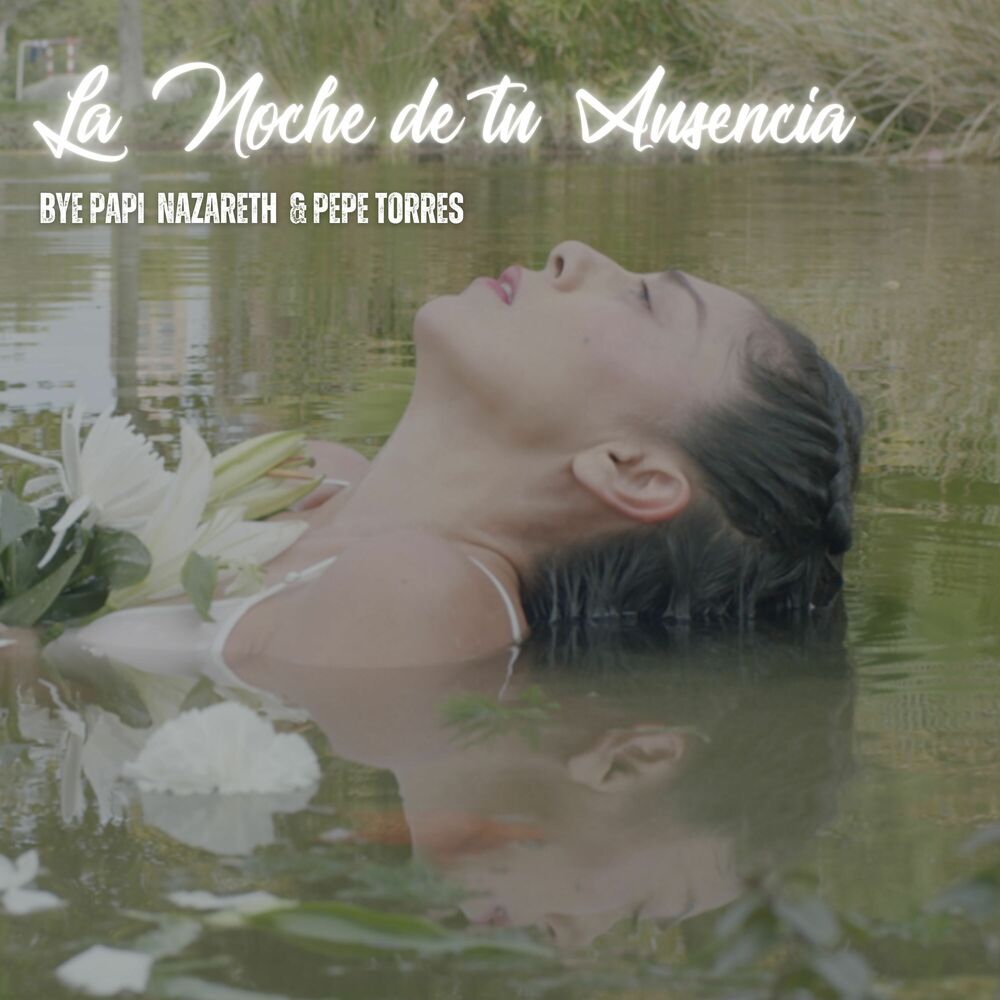 Picture of La noche de tu ausencia