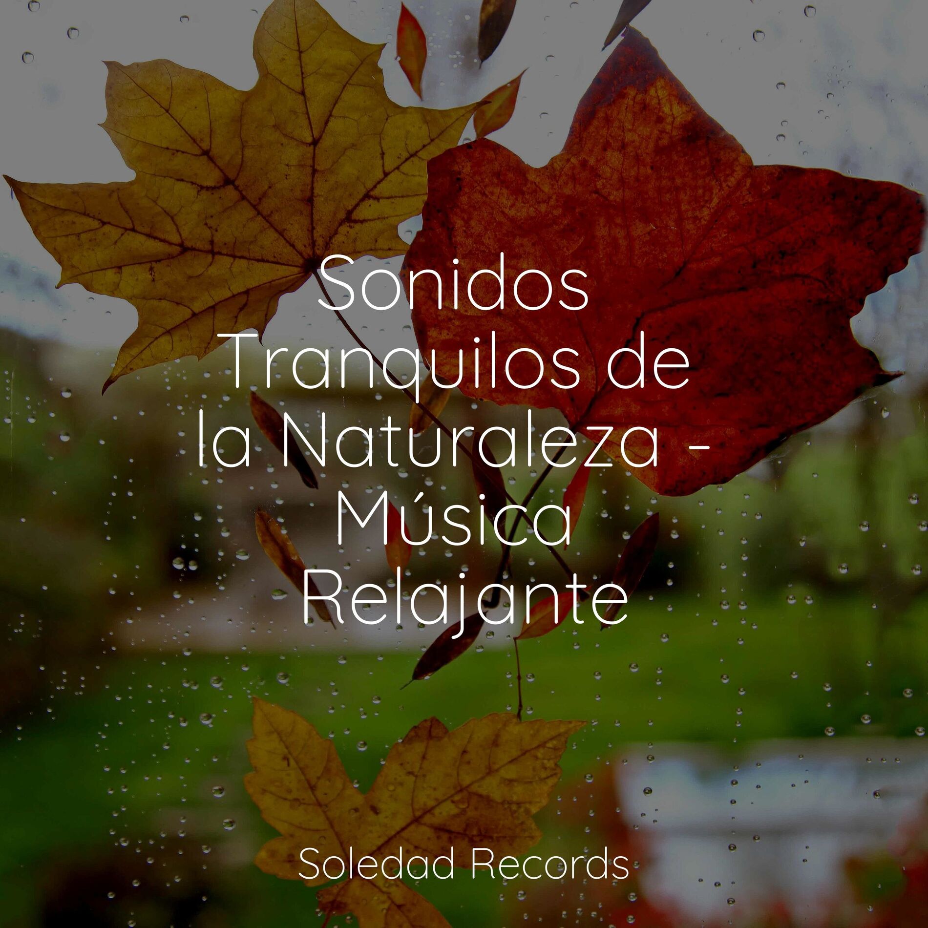 Album cover of Niebla