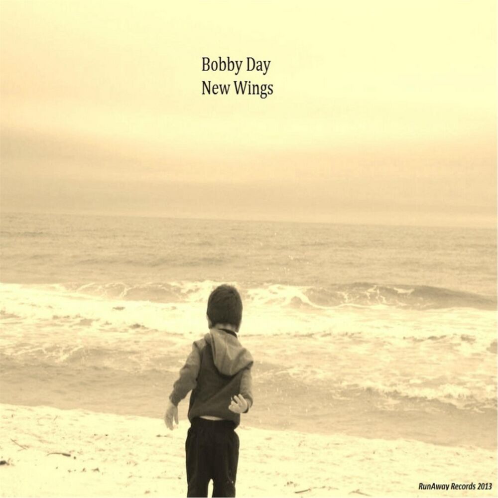 Picture of New Wings