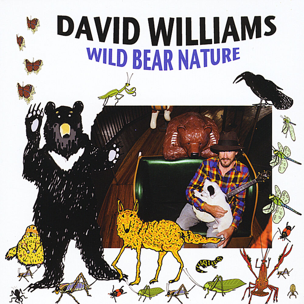 Picture of Wild Bear Nature