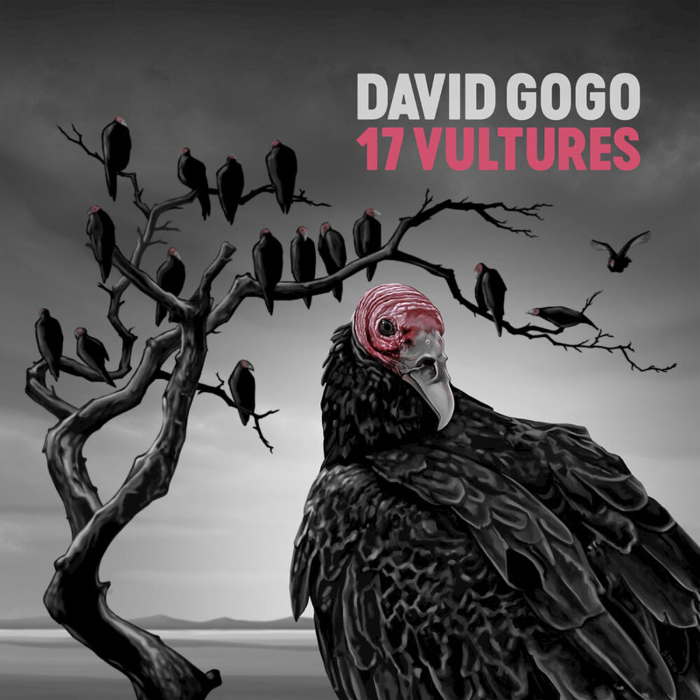 Picture of 17 Vultures