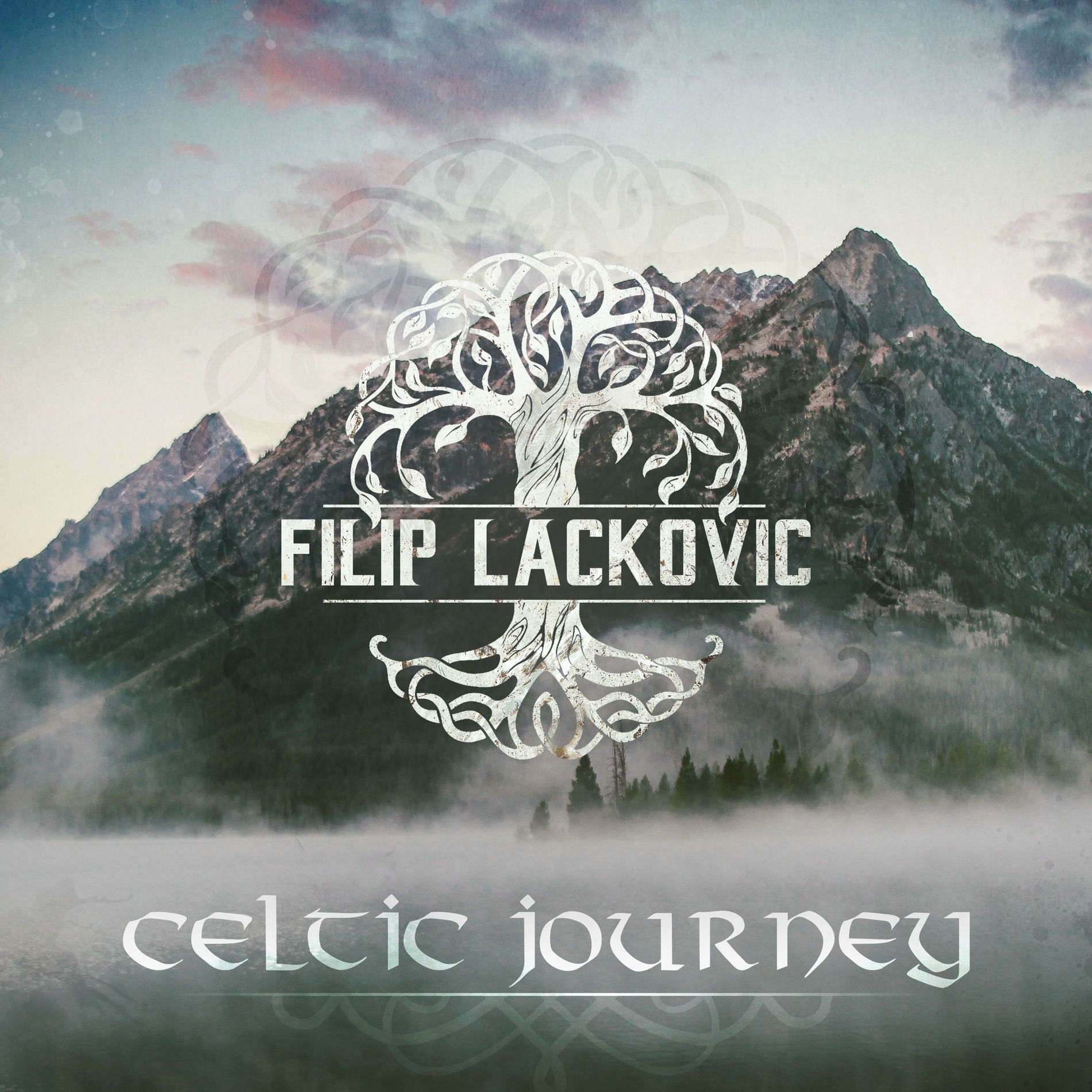 Album cover of Vikings