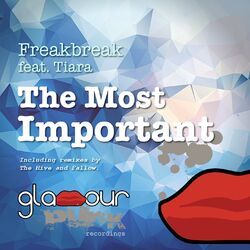 Cover of The Most Important