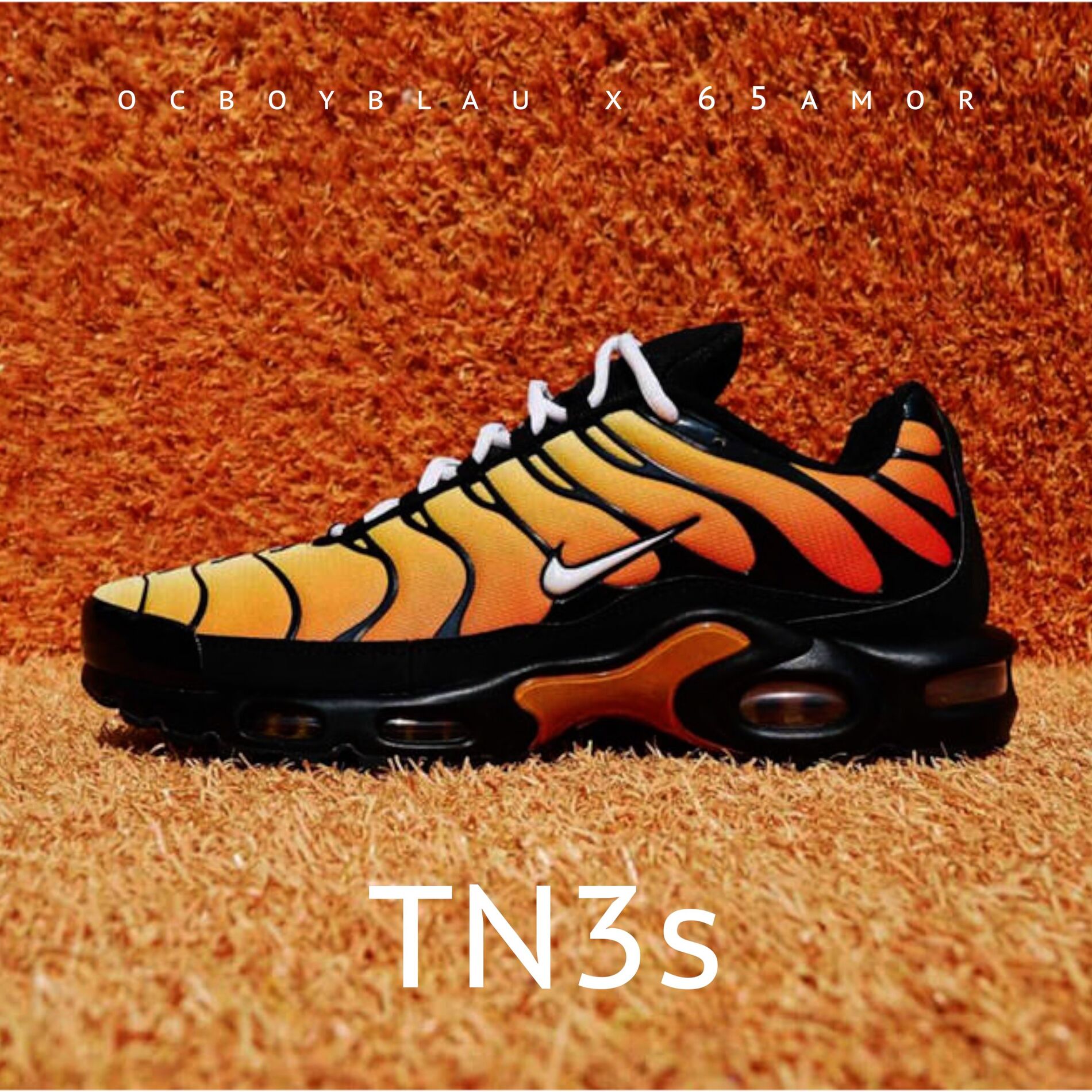 Album cover of TN3s