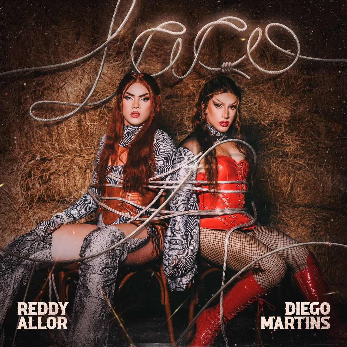 Album cover of Laço