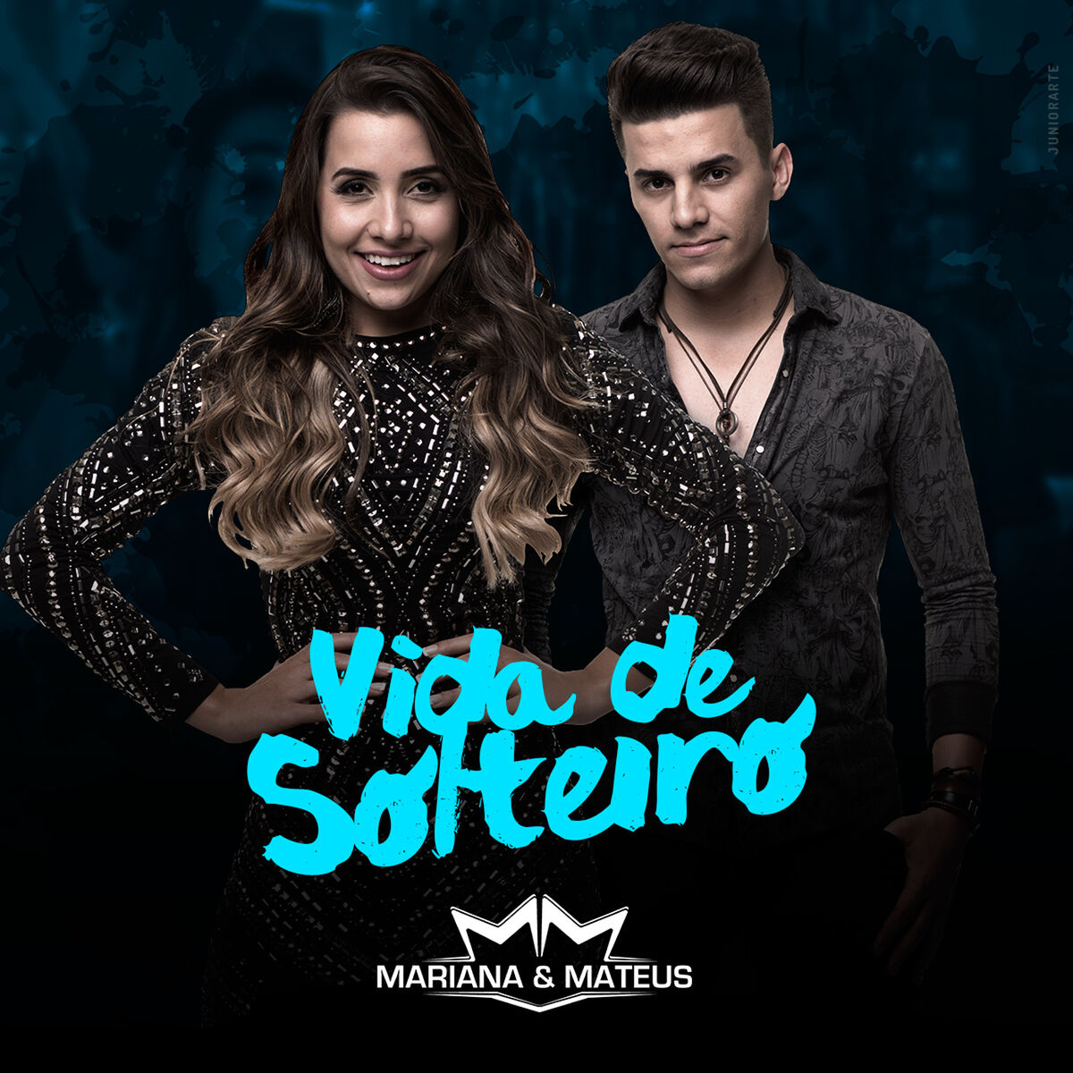 Album cover of Vida de Solteiro