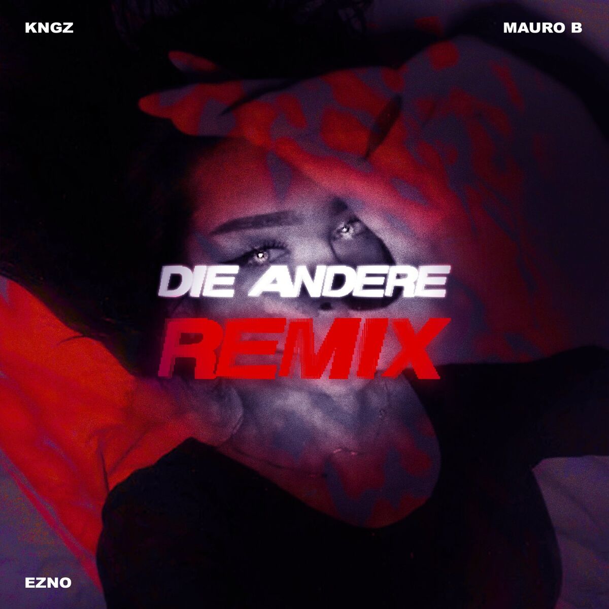 Album cover of Die Andere (Remix)