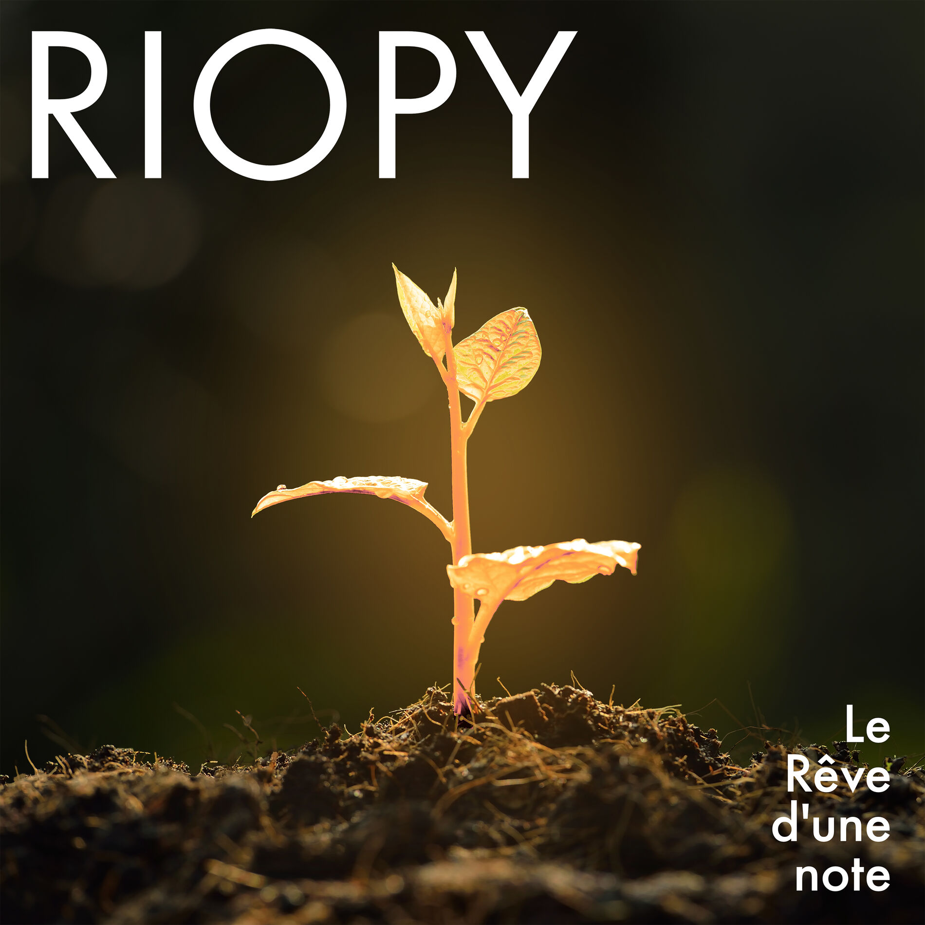 Album cover of Le rêve d'une note