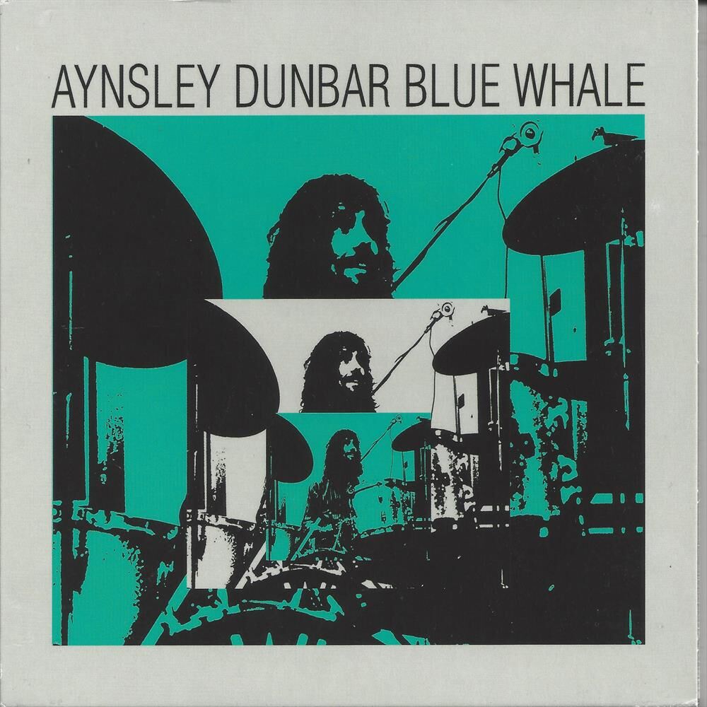Picture of Blue Whale