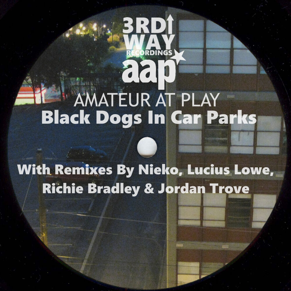 Picture of Black Dogs In Car Parks The Remixes EP