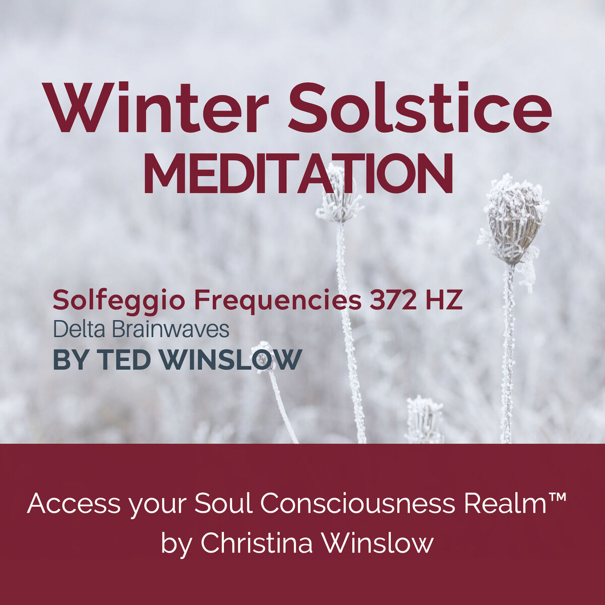 Album cover of Winter Solstice Meditation Solfeggio Frequencies 372hz Delta Brainwaves - Access Your Soul Consciousness Realm