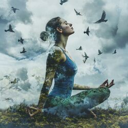 Cover of Meditative Pfade: Braunes Rauschen Chakra