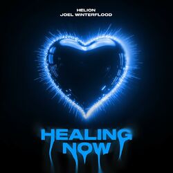 Cover of Healing Now