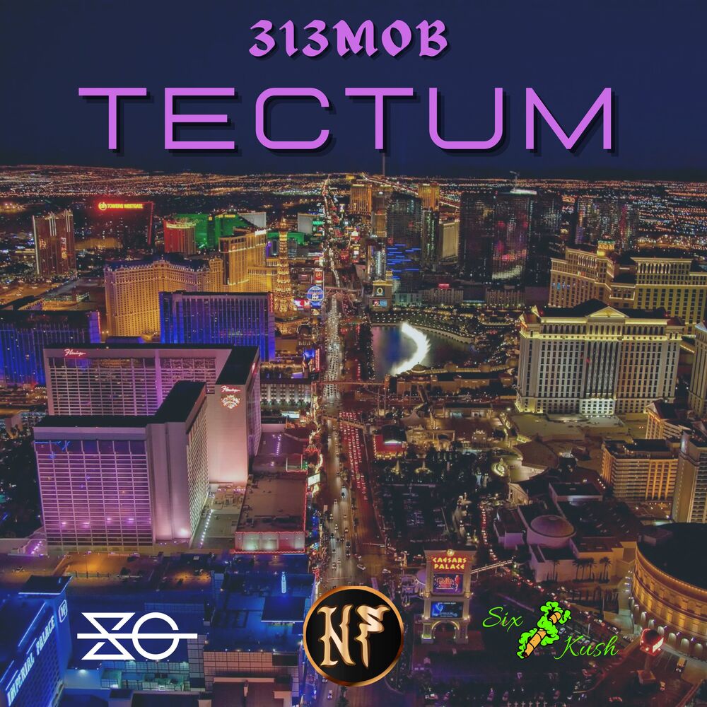 Picture of 313MOB - Tectum