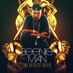 Cover of The Greatest Gallis