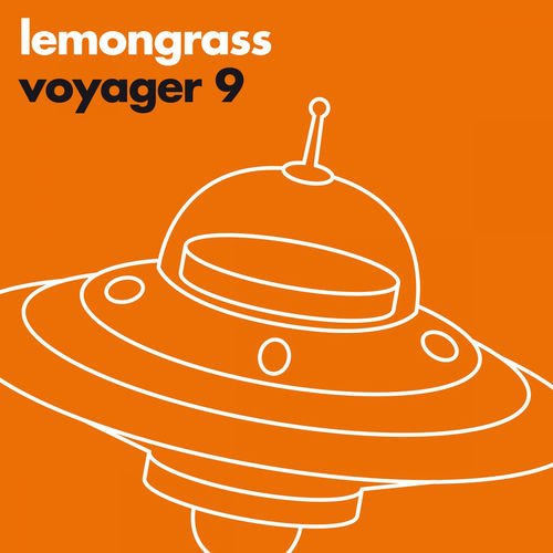 Voyager 9 sleeve