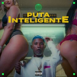 Cover of Puta Inteligente