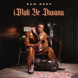 Cover of iMALI YE NTWANA