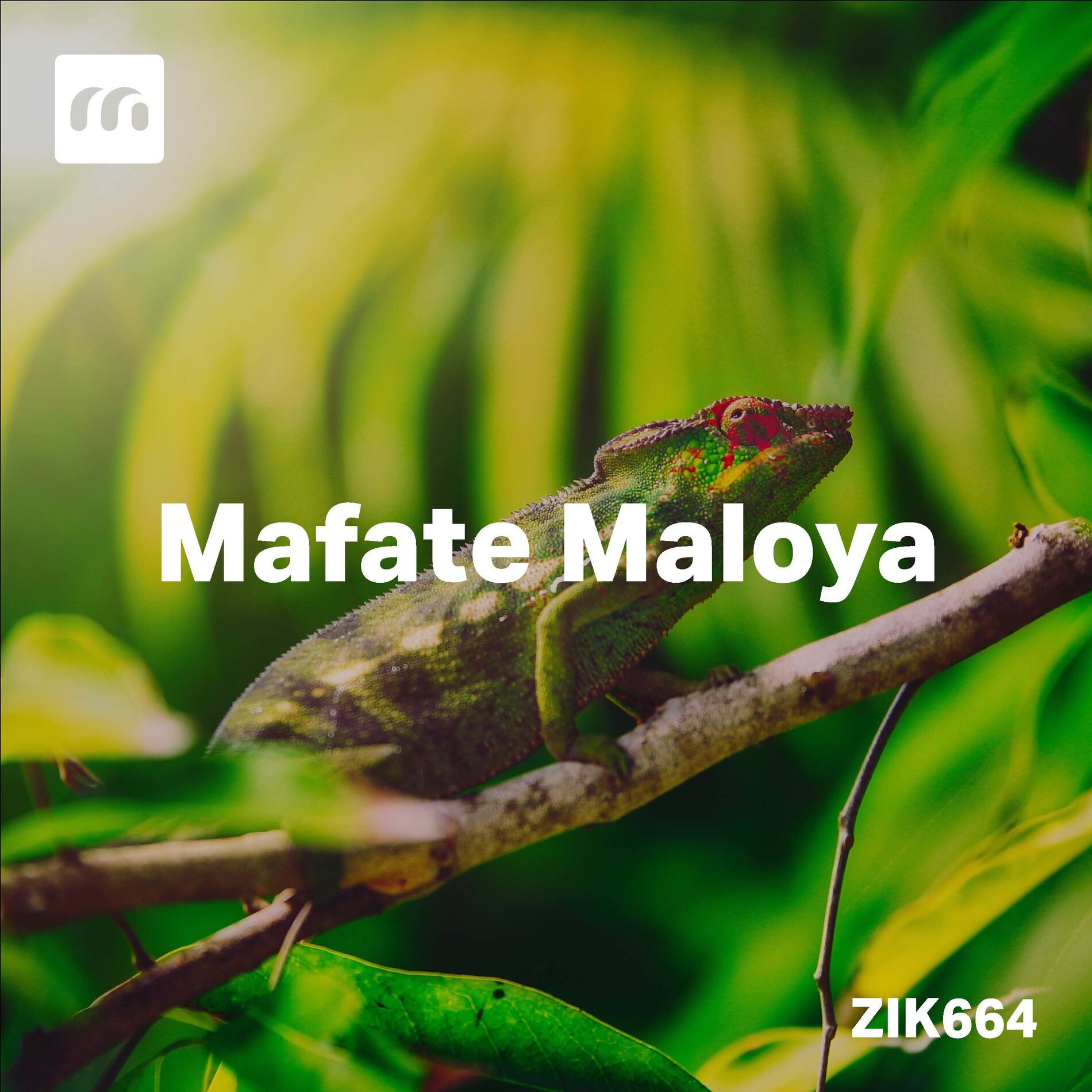 Album cover of Mafate Maloya
