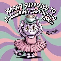 Wasn't Supposed To (Ballerina Cappuccino Song)