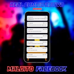 Cover of Maldito Facebook 2.0