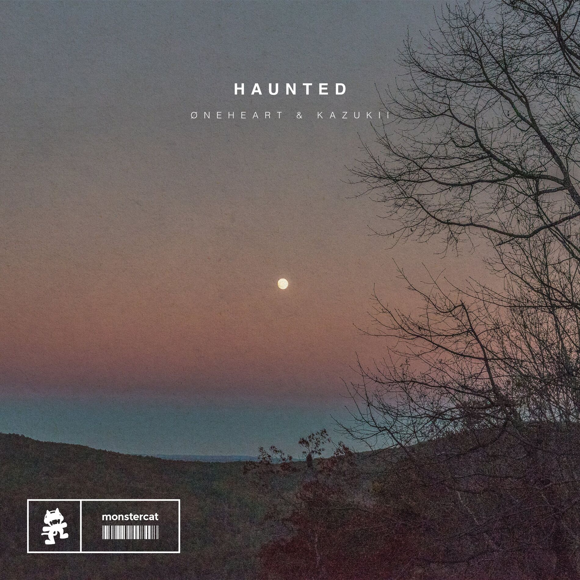 Album cover of haunted
