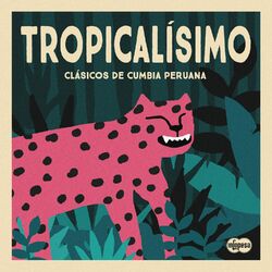 music cover