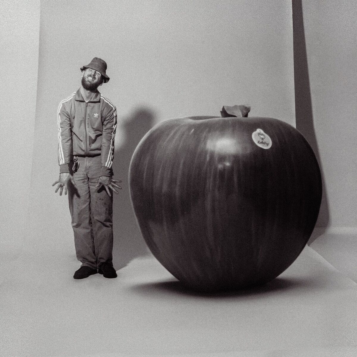 Album cover of The Apple