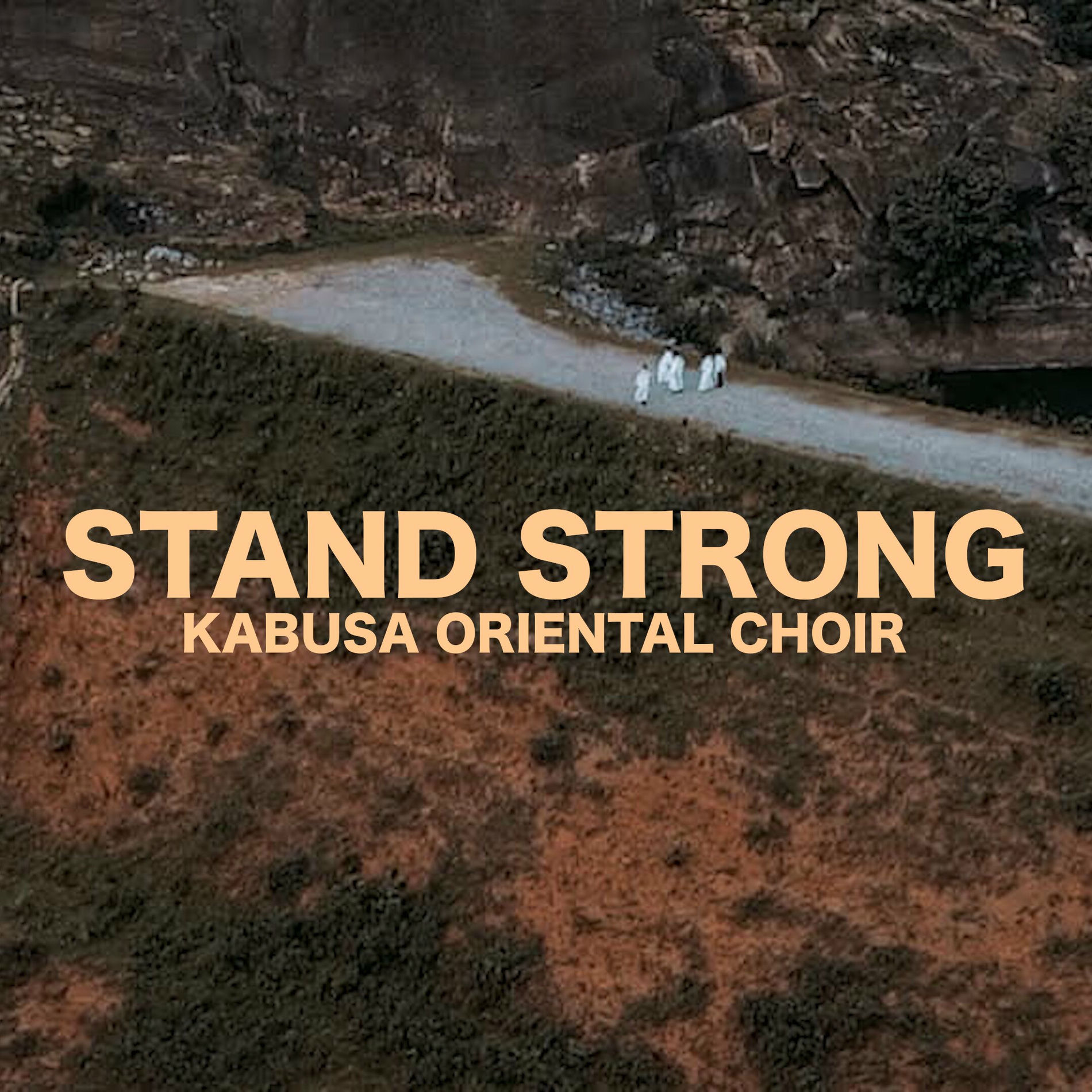 Album cover of Stand Strong