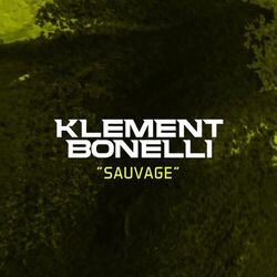 Cover of Sauvage