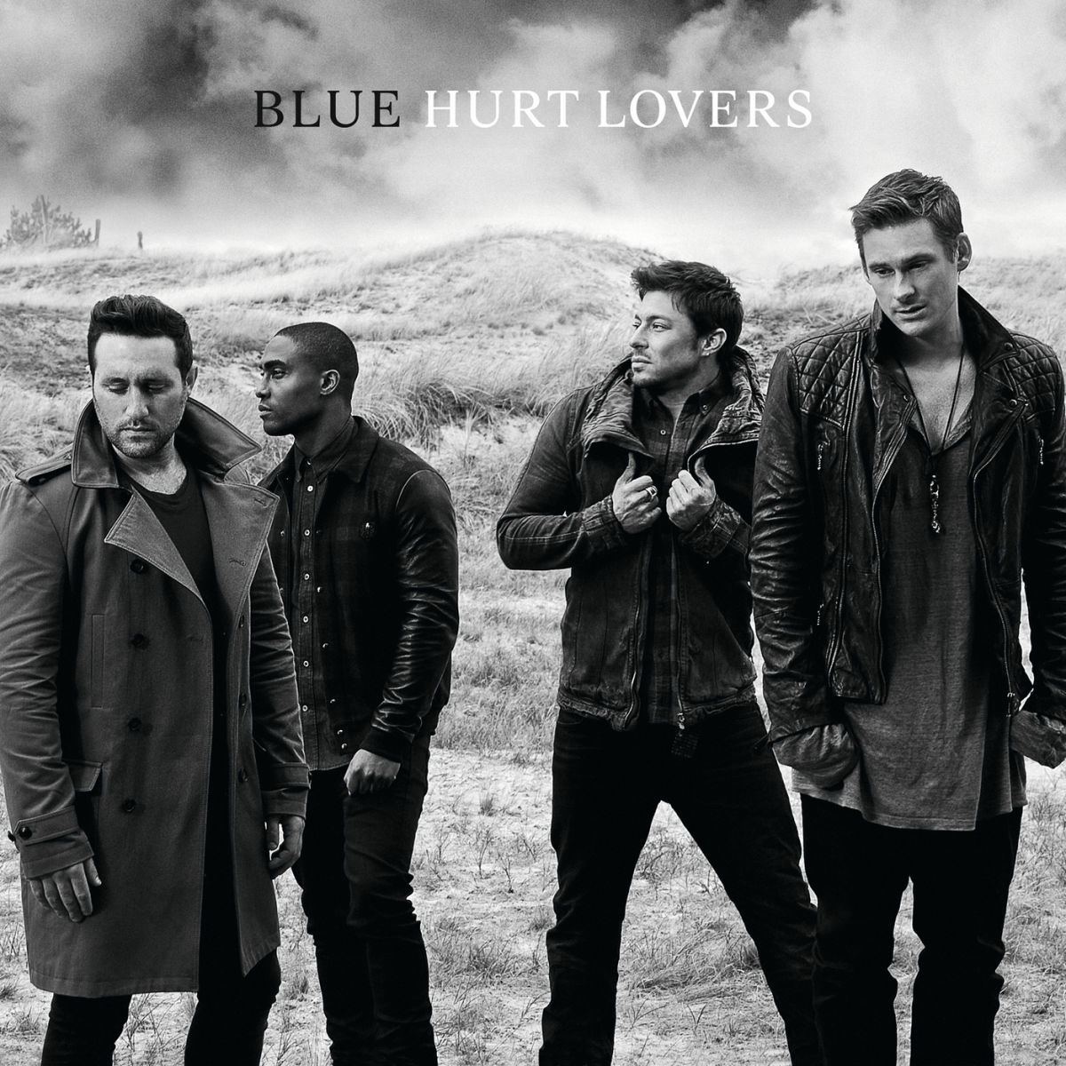 Album cover of Hurt Lovers