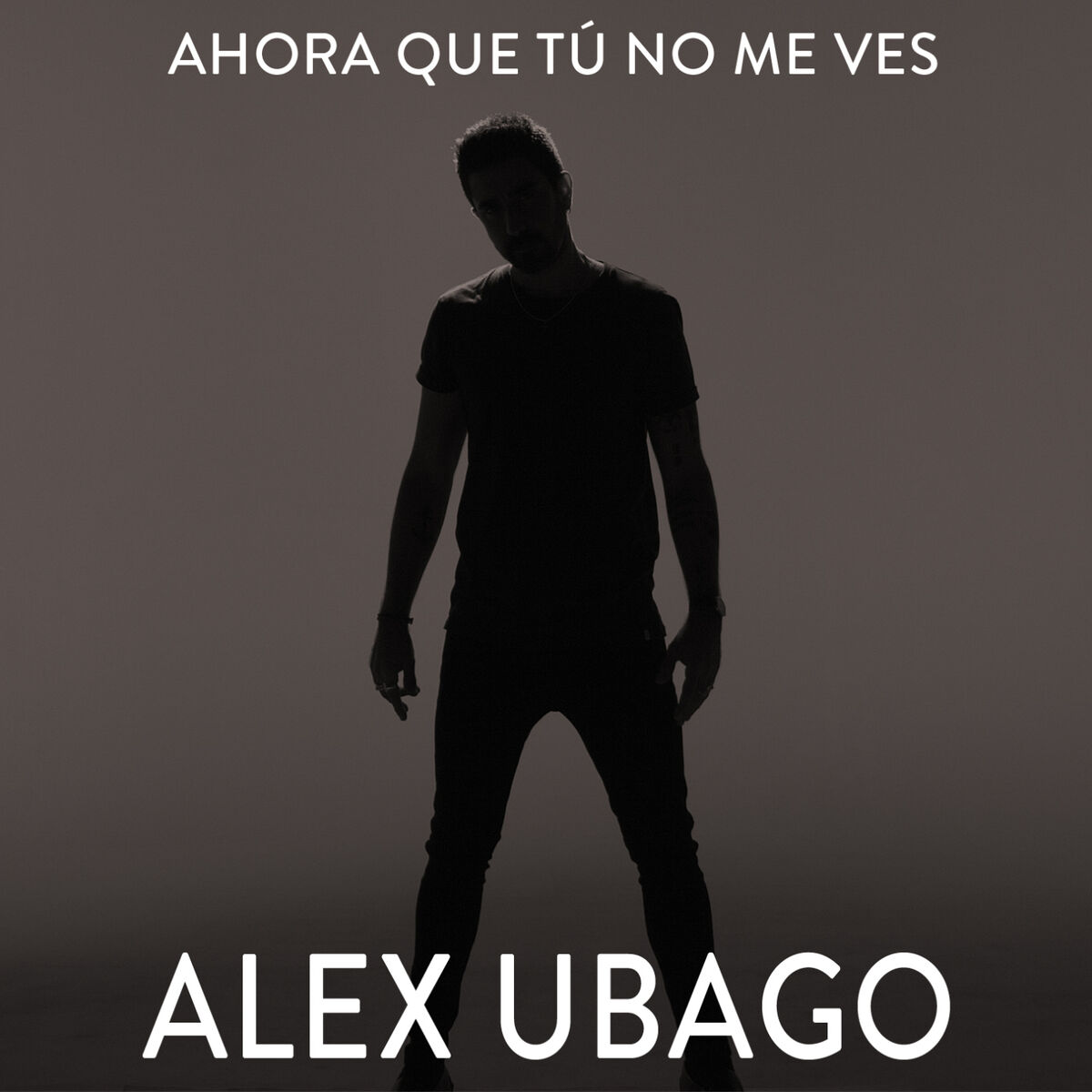 Album cover of Ahora que tú no me ves