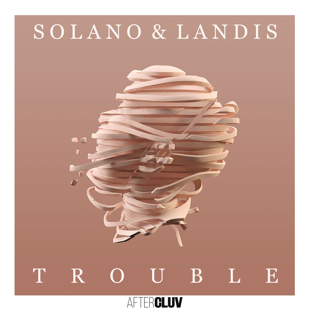 Album cover of Trouble