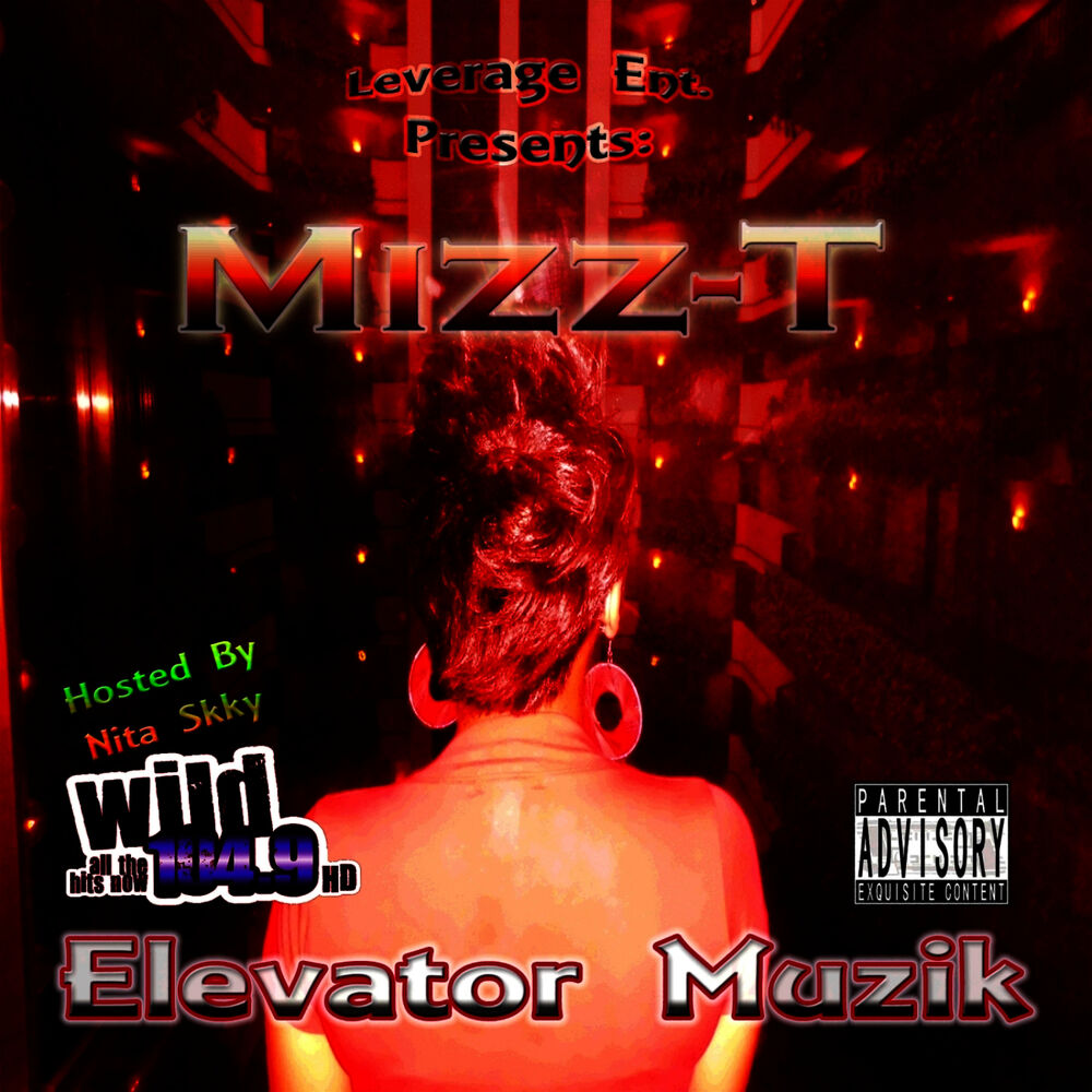 Picture of Elevator Muzik