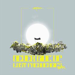 Cover of Never Give Up (Lost Frequencies Remix)