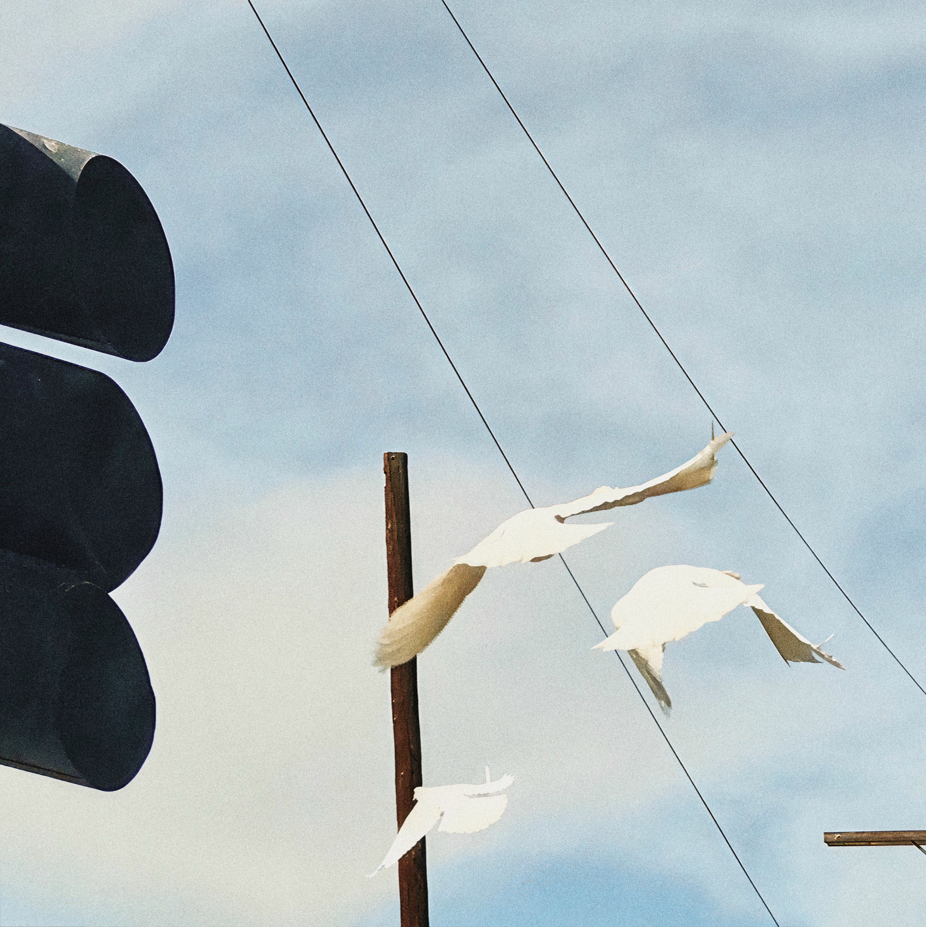 Album cover of Estradas