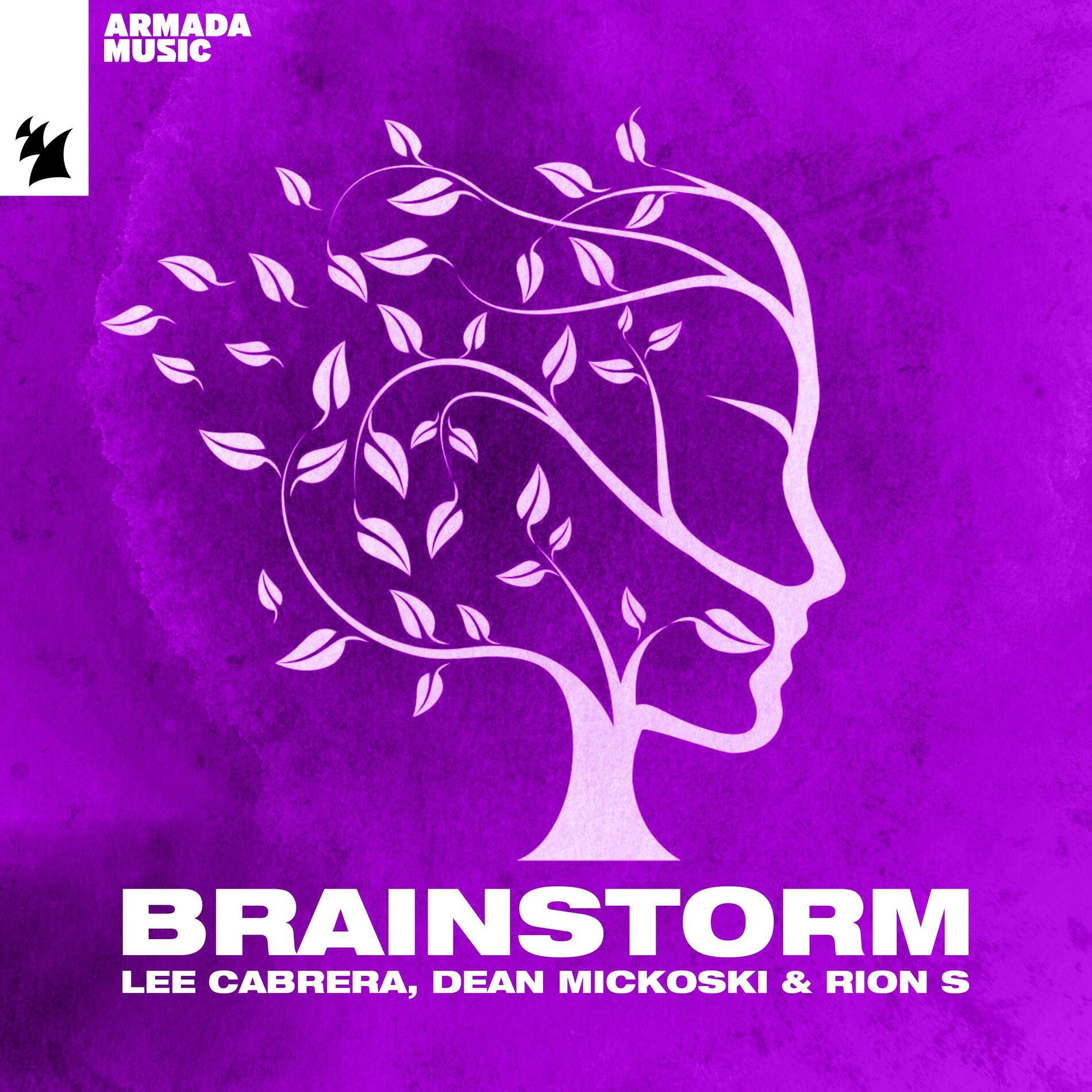Album cover of Brainstorm