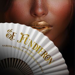 Cover of Se Fundieron (Derun Remix Radio Edit)