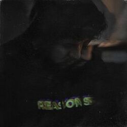 Cover of Reasons